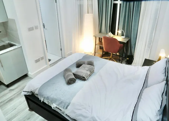 Special Beautiful Studio Flat - Professional